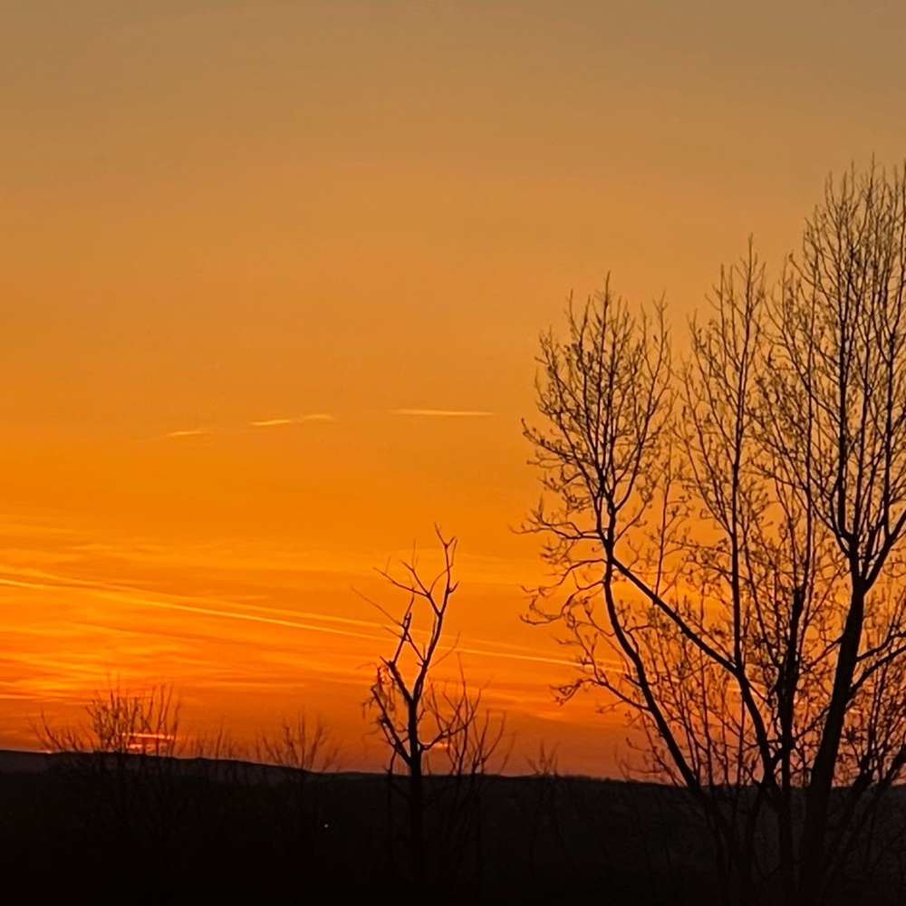 Meet your Posher, Sunish